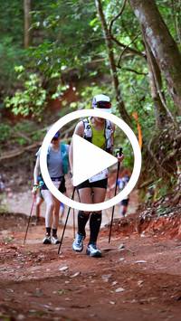 BIB:  <button type="button" onclick="openModal(27424124)" class="btn btn-primary btn-sm float-right" data-toggle="modal" data-target=".modal-high-quality">
                <i class="fa fa-download"></i> Download
                </button>